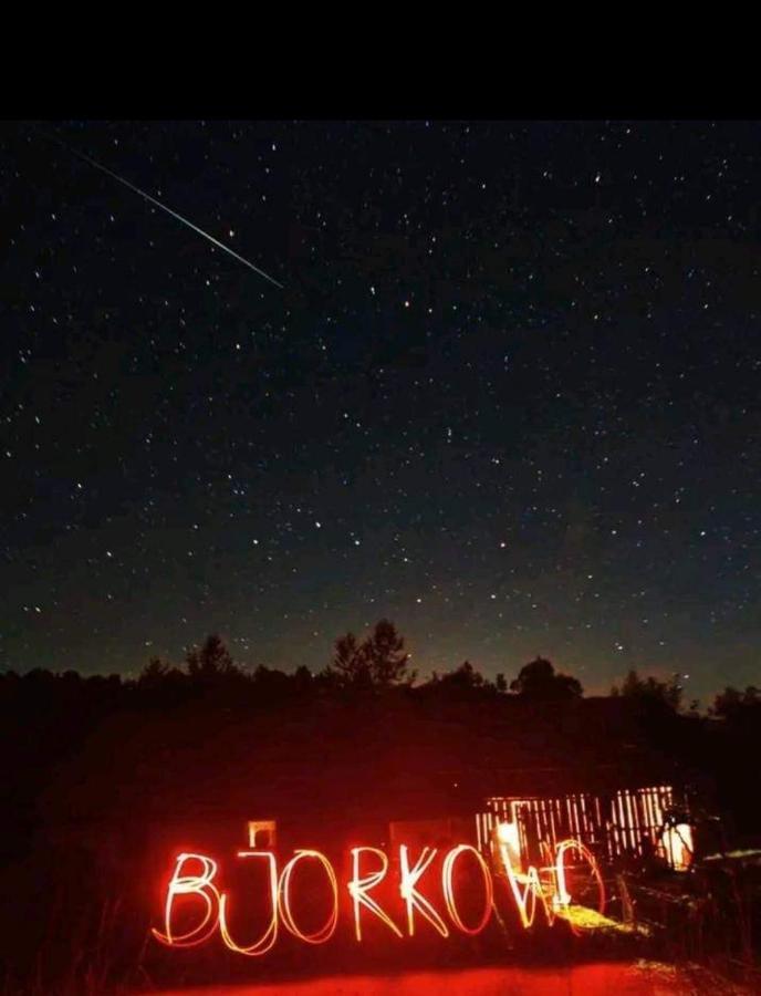 Bjorkowo Βίλα Polańczyk Εξωτερικό φωτογραφία